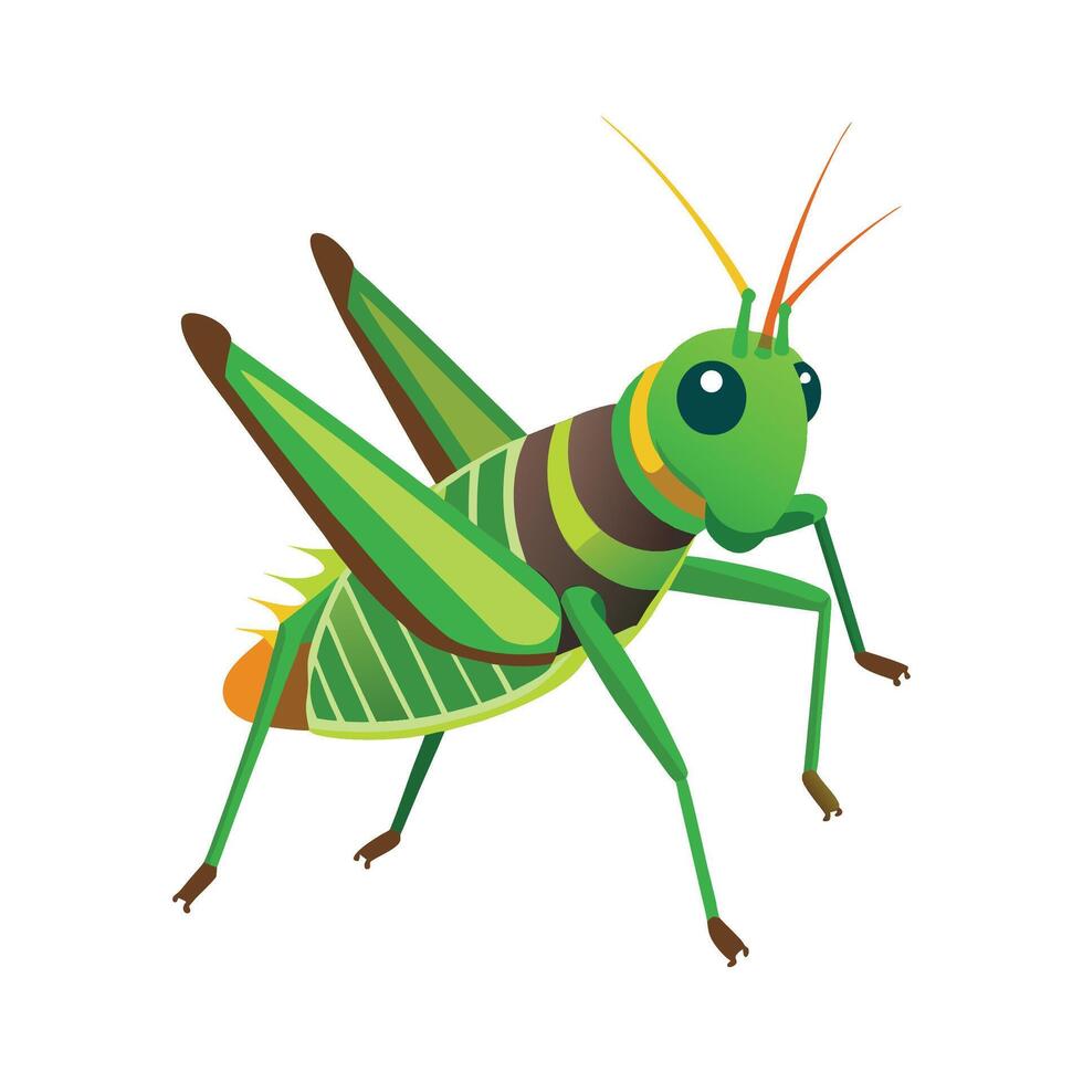 Stylized Grasshopper Character vector