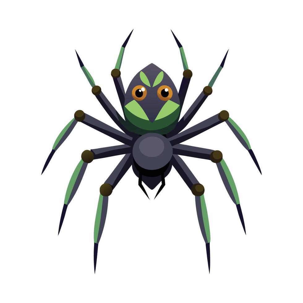 Charming Grass Spider Illustration for Education vector