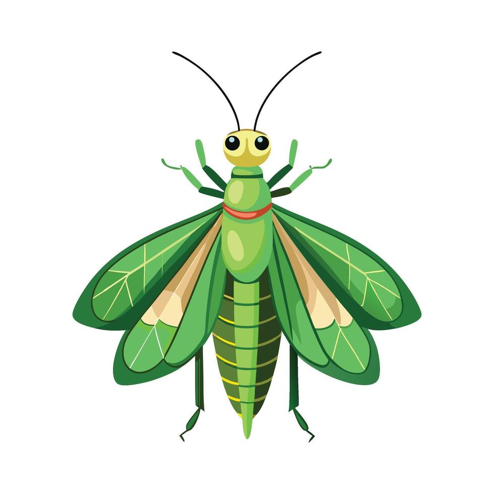 Colorful Green Lacewing Character vector