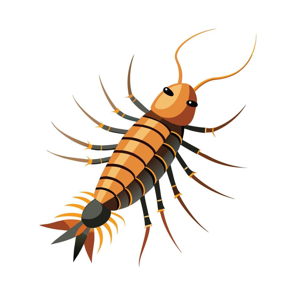 Realistic House Centipedes on White Background vector
