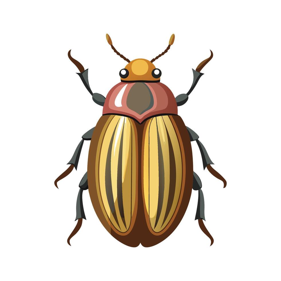 Stylized June Beetle for Educational Use vector