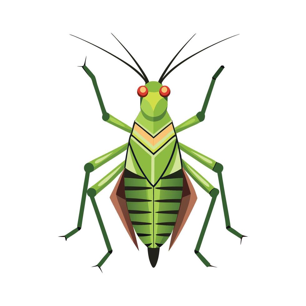 Cute Katydid Character for Kids vector