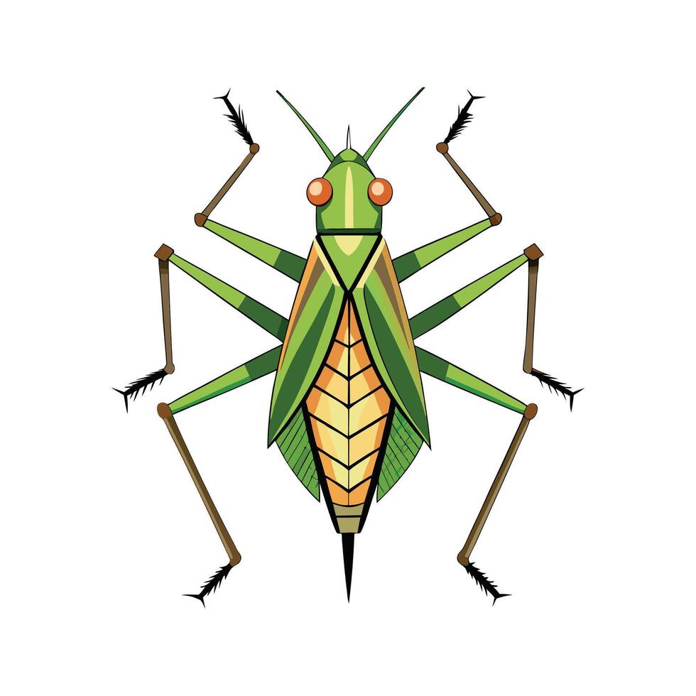 Charming Katydid Character Digital Art vector