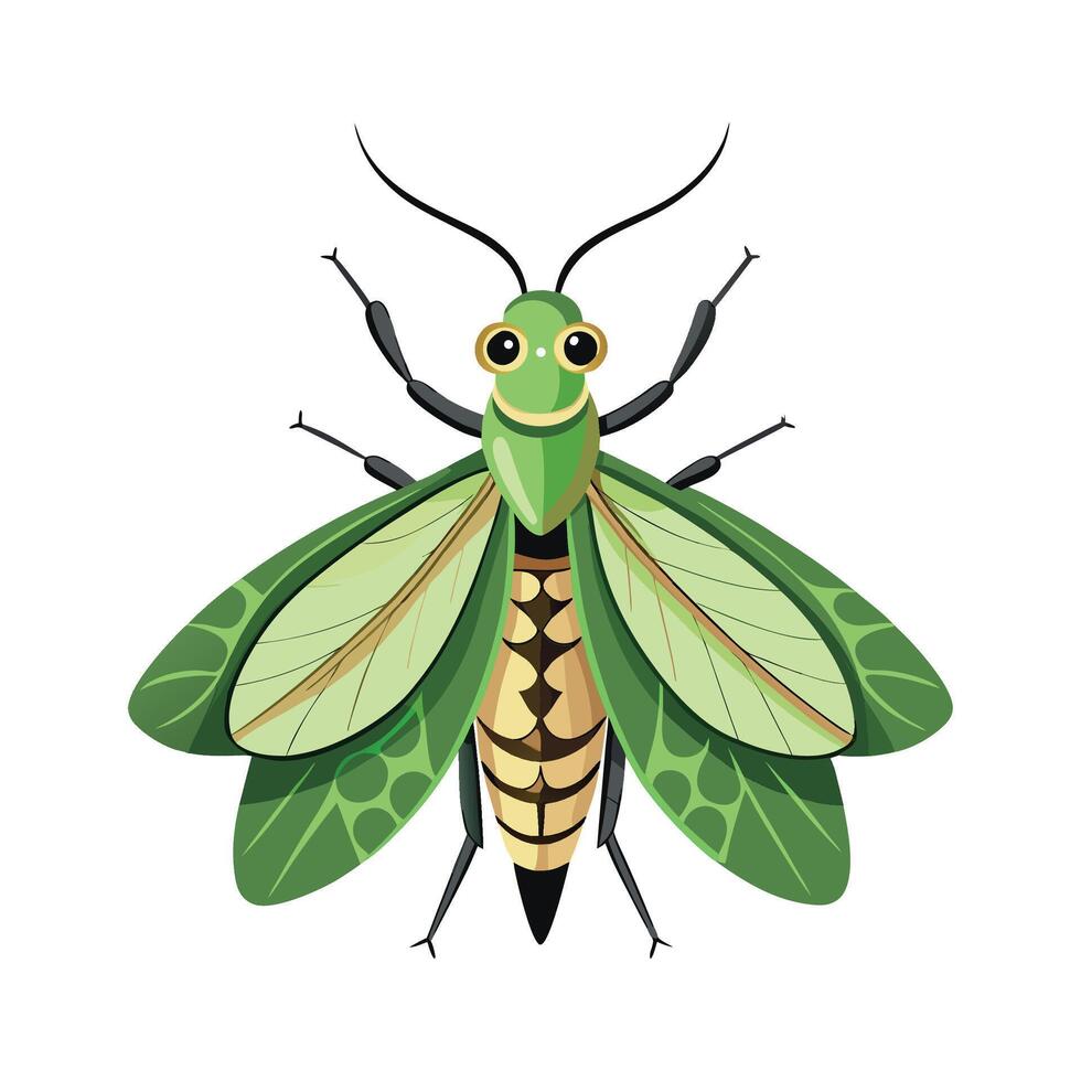 Cute Lacewing on a White Background vector