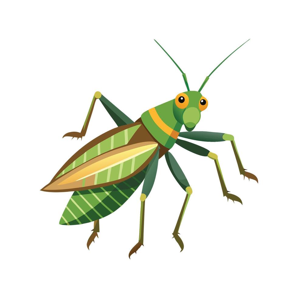 Charming Katydid on Green Background vector