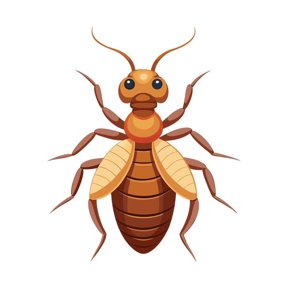 Stylized Lacewing for Educational Use vector