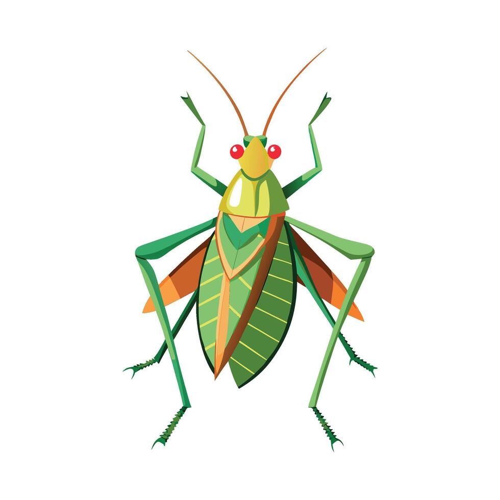 Illustration of Katydid in Nature vector