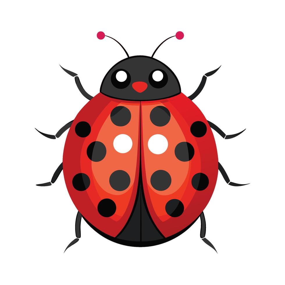 Charming Ladybug on a White Background vector