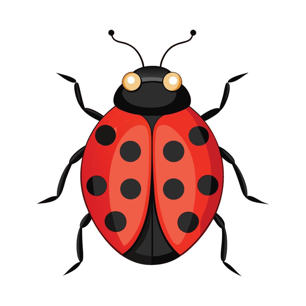 Stylized Ladybug for Creative Learning vector