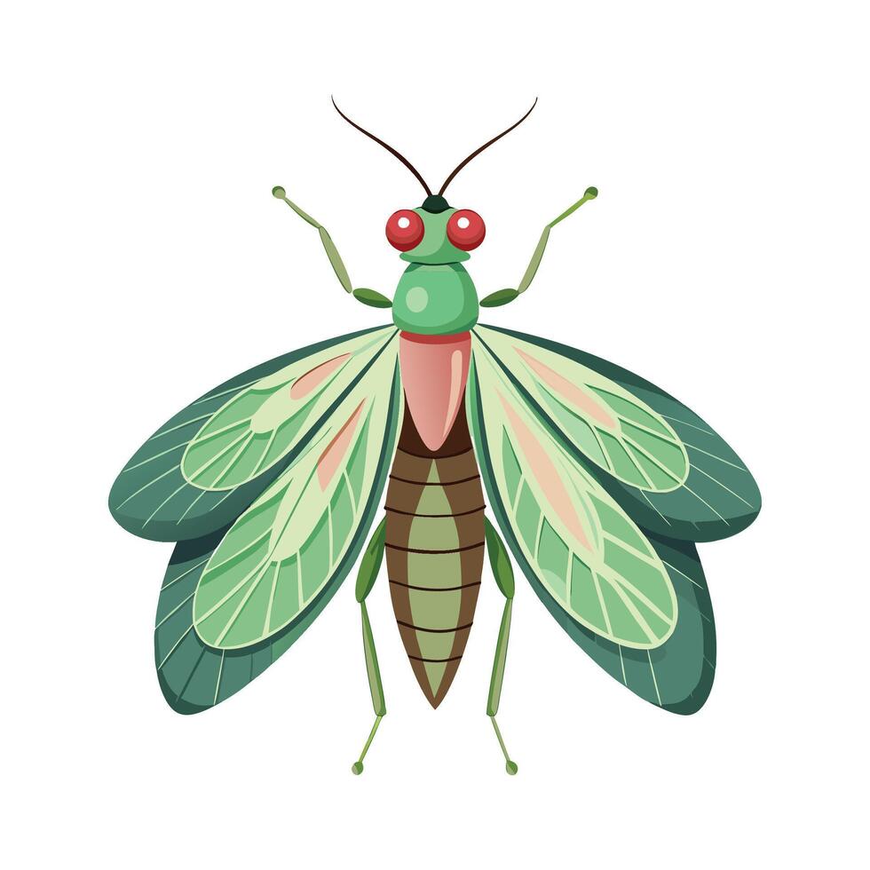 Stylized Lacewings for Educational Use vector