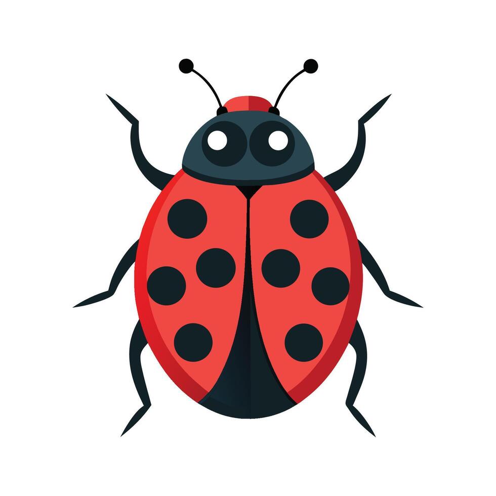 Cute Ladybug Character Digital Art vector