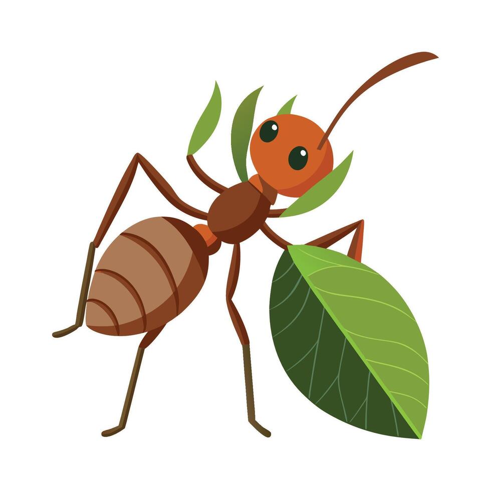Realistic Leafcutter Ant on a Leaf vector