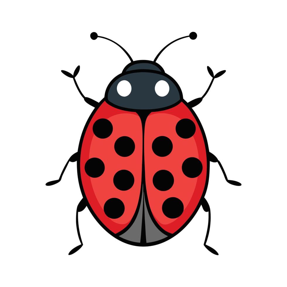 Cute Ladybug Character for Kids vector