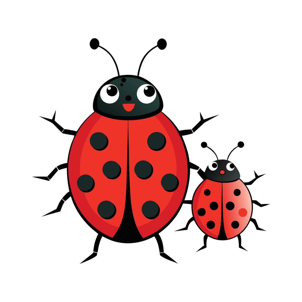 Stylized Ladybugs on a White Background vector