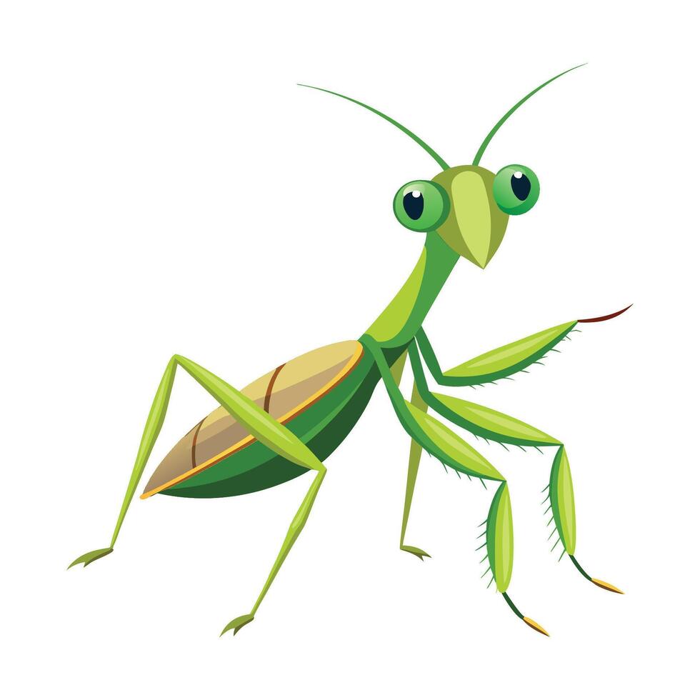 Cute Mantis Character for Kids vector