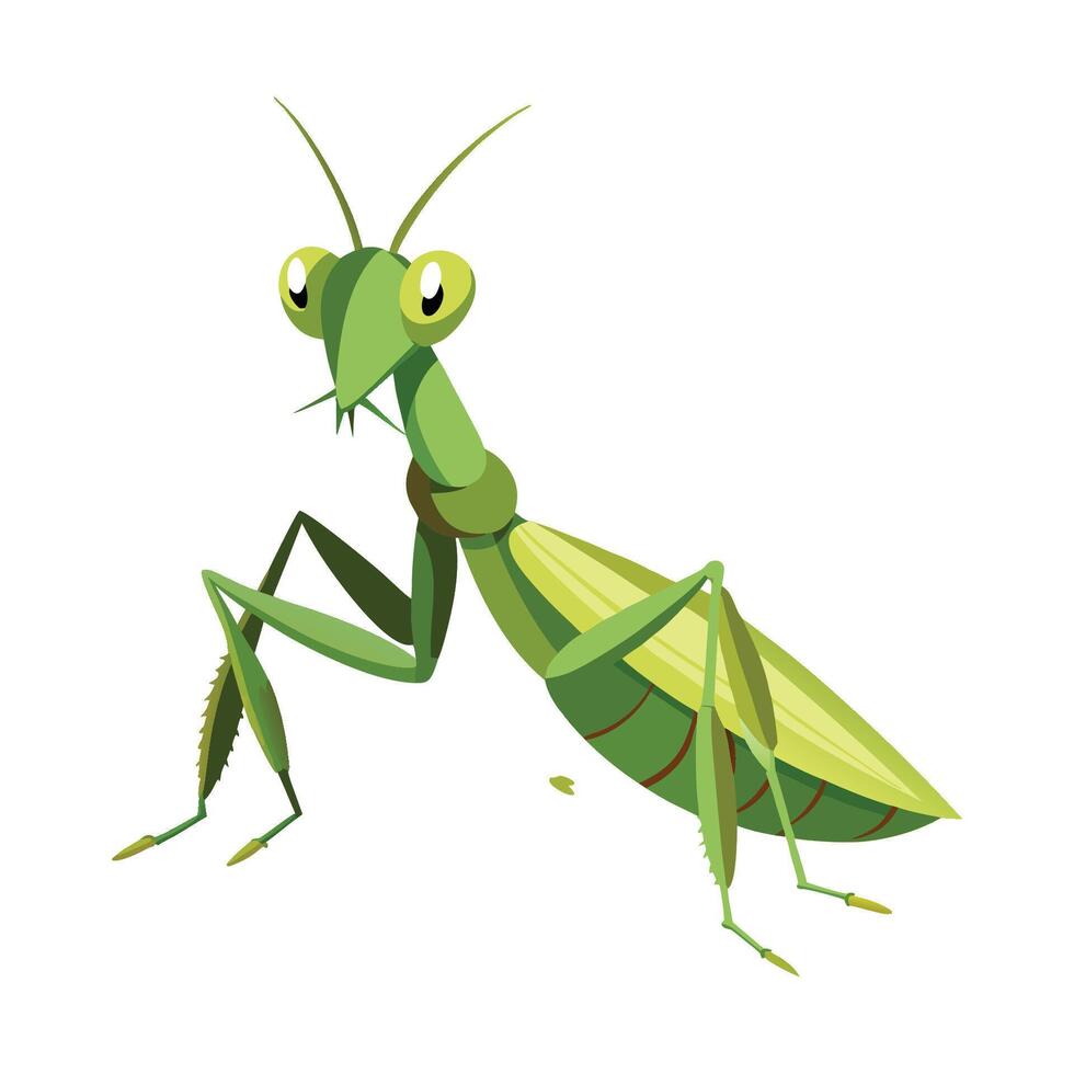 Illustration of Mantis in Nature vector