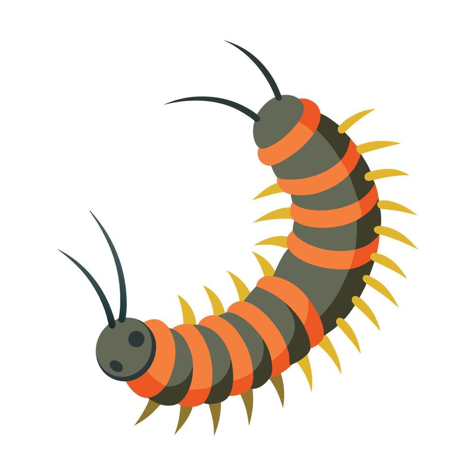 Realistic Millipede on a Leaf vector