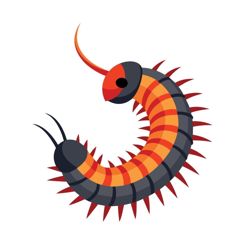 Cute Millipede on a White Background vector