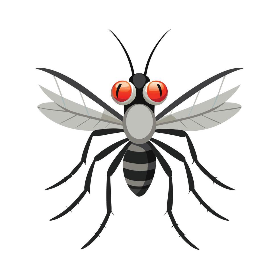 Charming Mosquito for Educational Use vector
