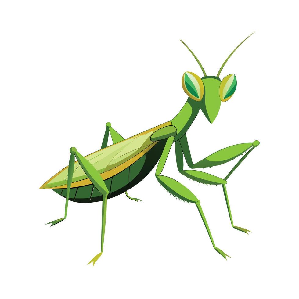 Stylized Praying Mantis for Kids vector