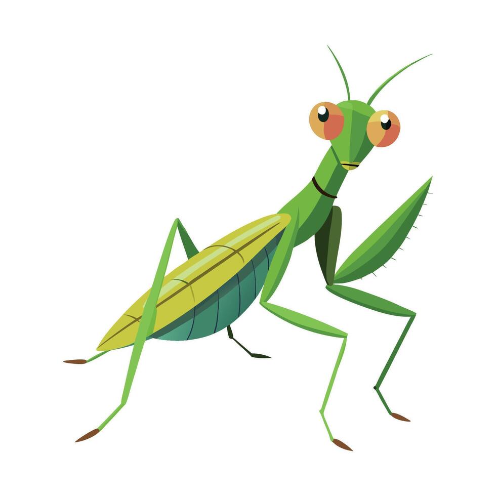 Colorful Praying Mantis vector