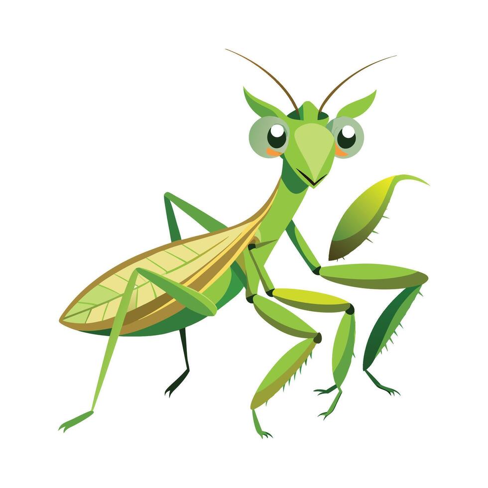 Cute Praying Mantis on a Flower vector