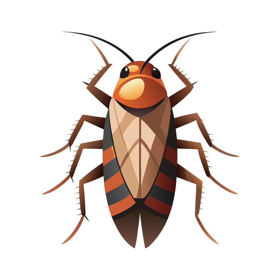 Stylized Roach for Educational Use vector