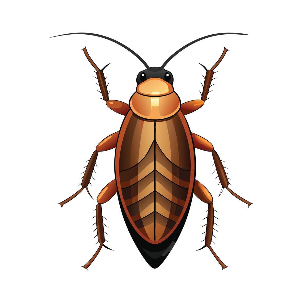 Charming Roach on a Leaf vector
