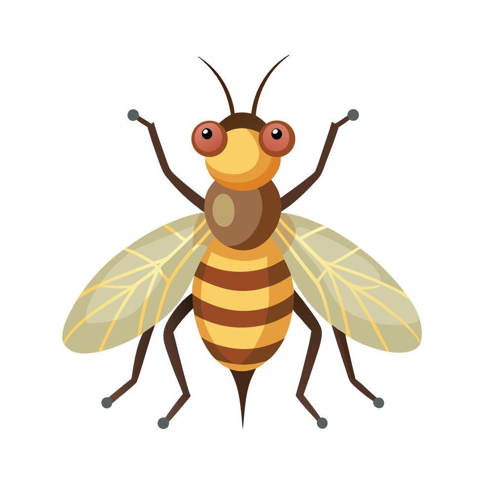 Stylized Sand Flies for Educational Use vector