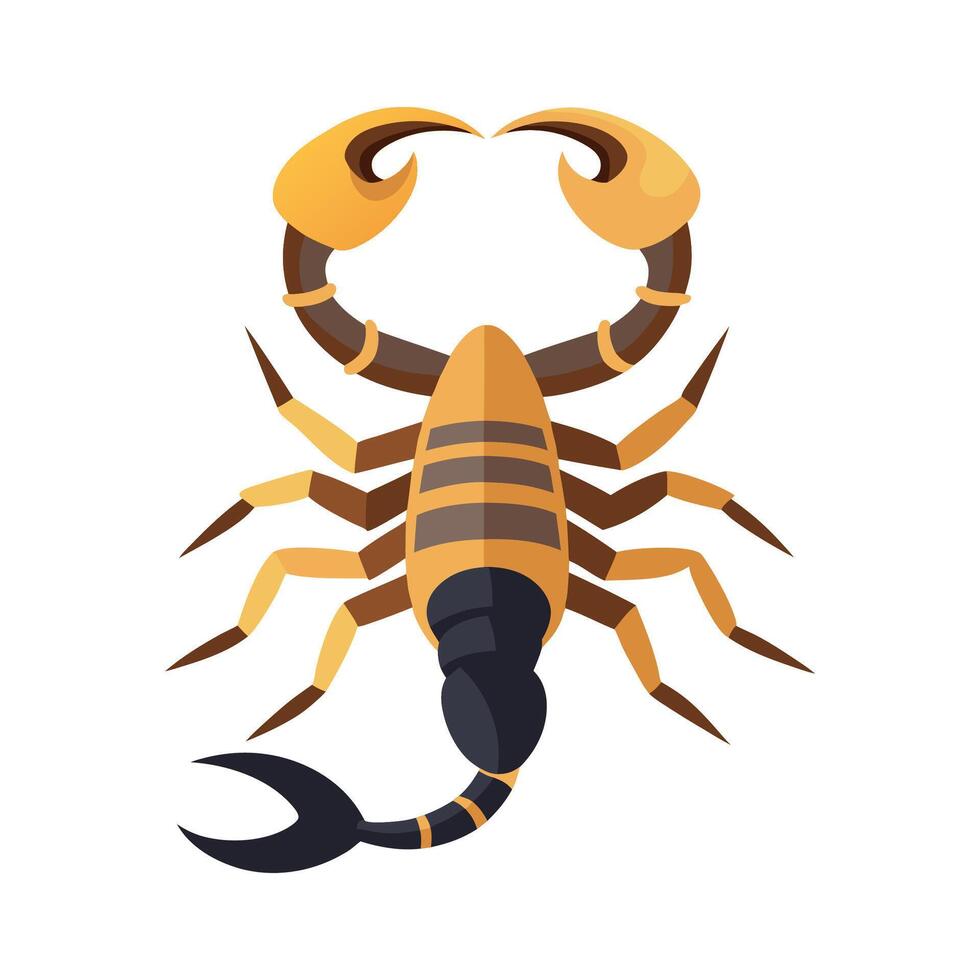 Stylized Scorpion for Educational Use vector