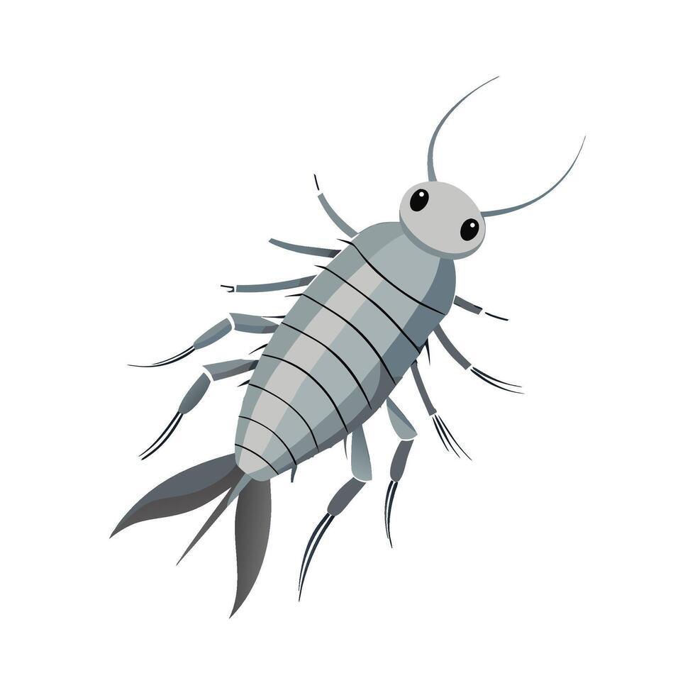 Charming Silverfish with Antennae vector