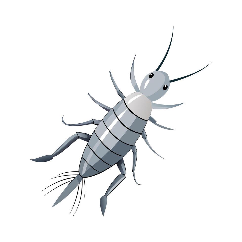 Realistic Silverfish in Nature vector