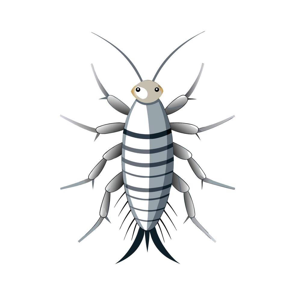Realistic Silverfish Character Illustration vector
