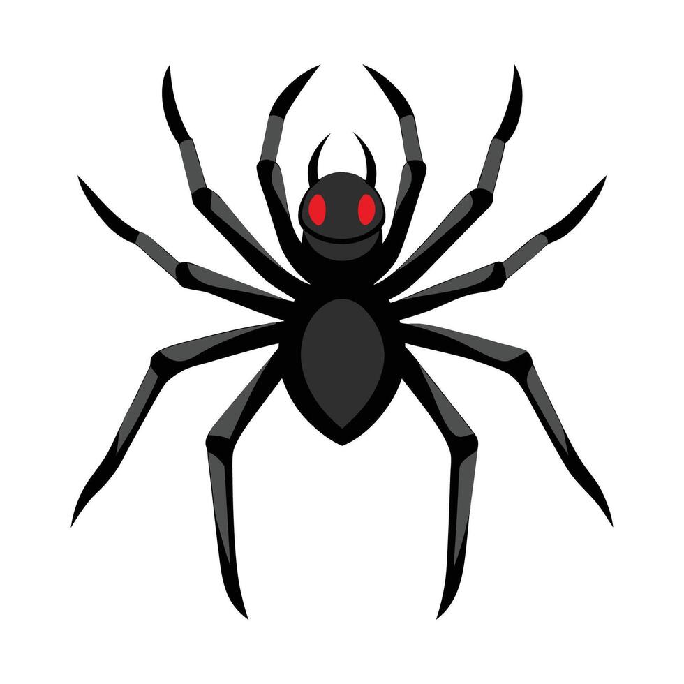 Stylized Spider Character Digital Art vector