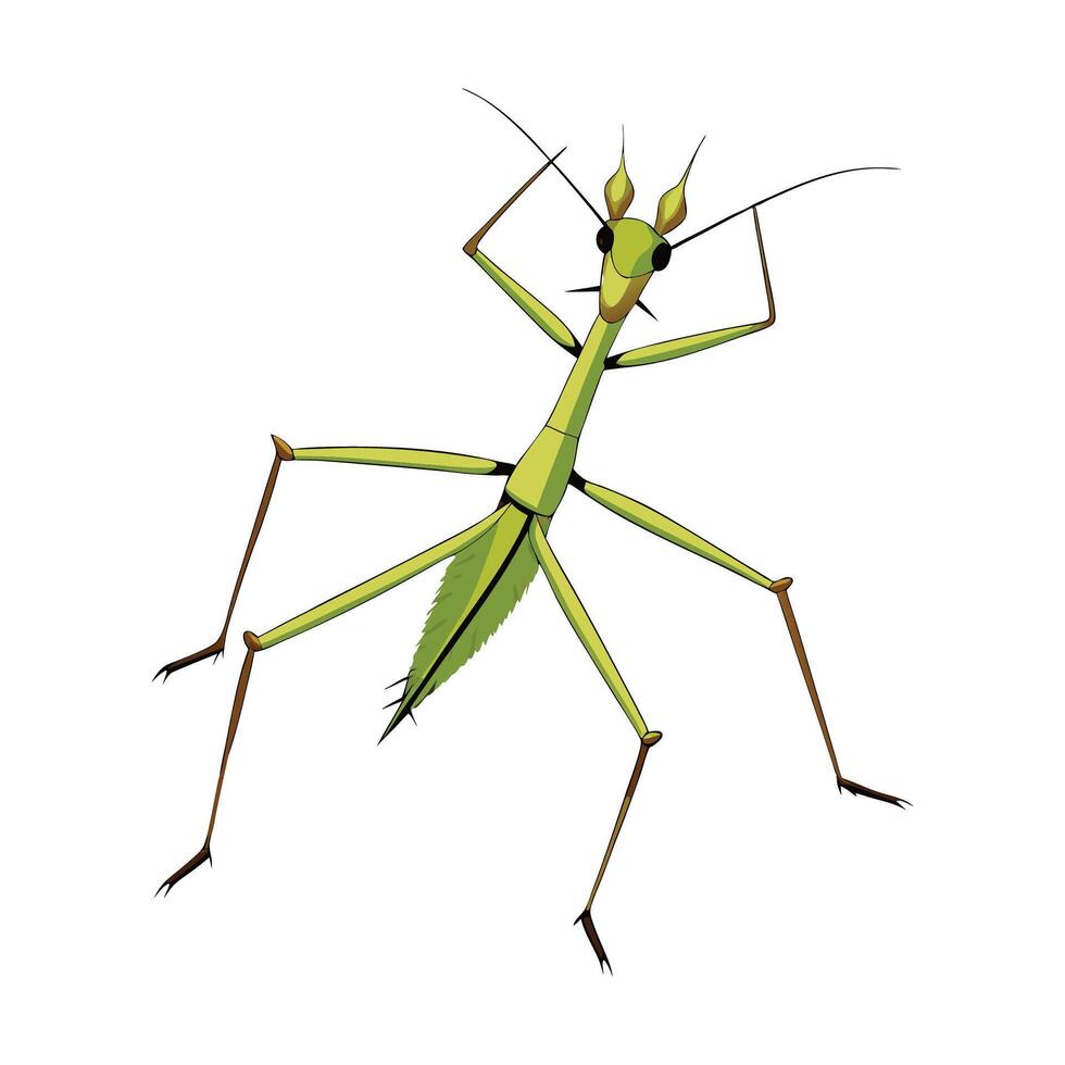Charming Stick Insect Character vector