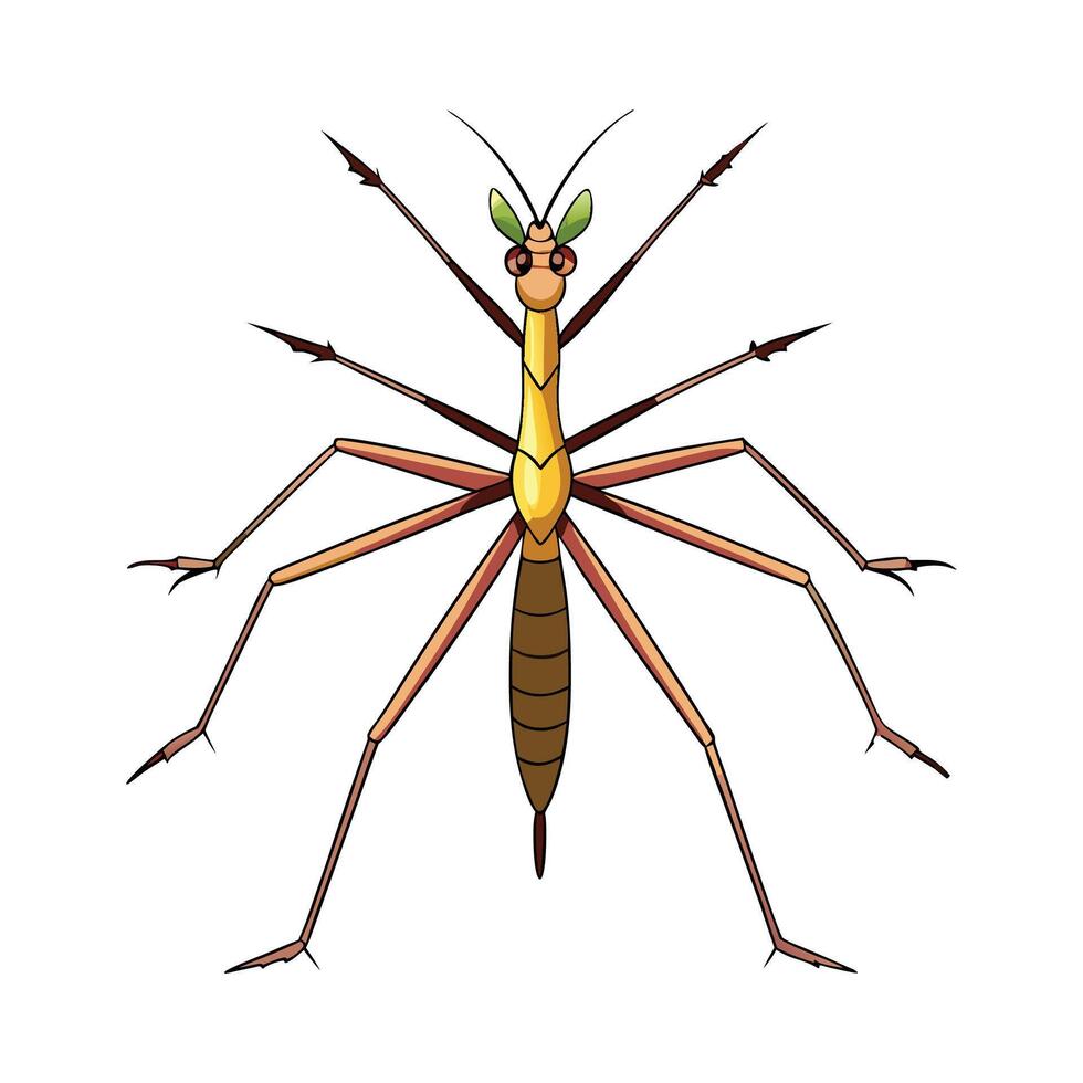 Cute Stick Insect Character Digital Art vector