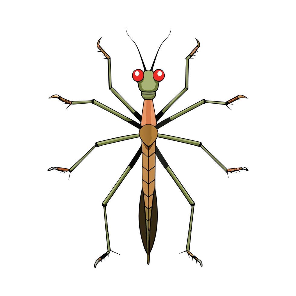 Charming Stick Insects in Nature vector