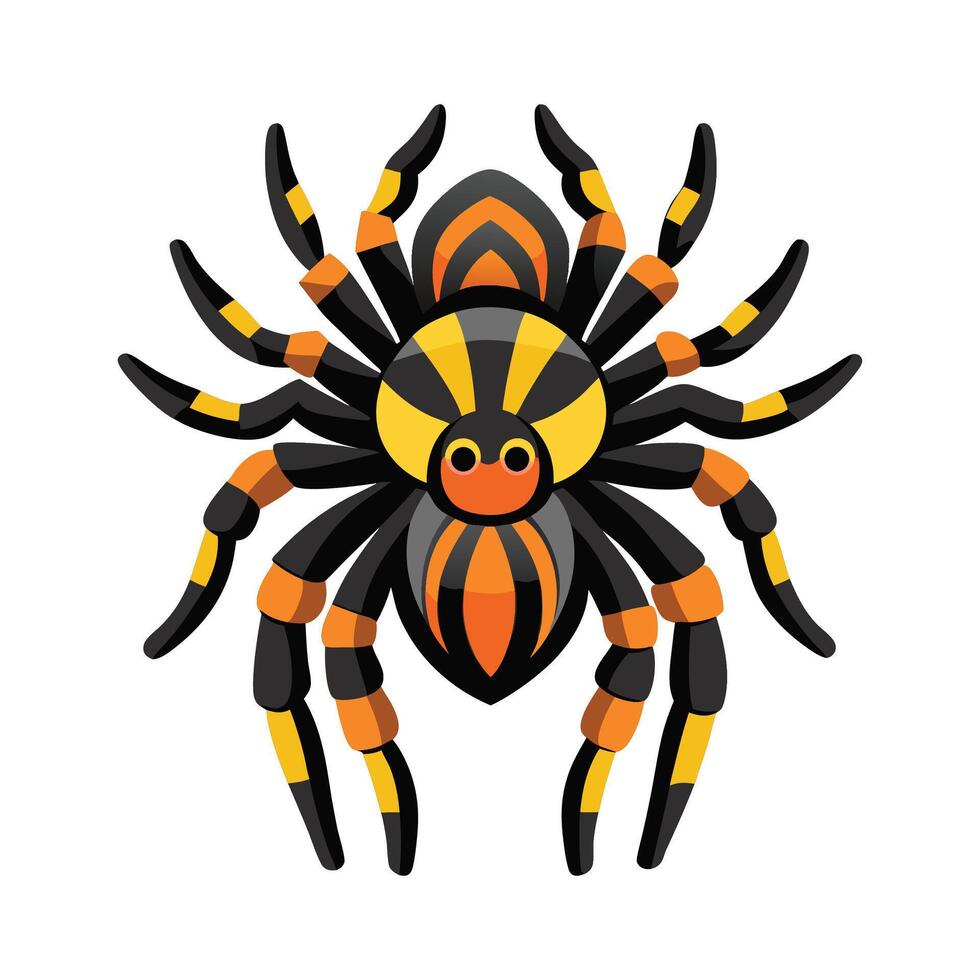 Charming Tarantula for Educational Use vector