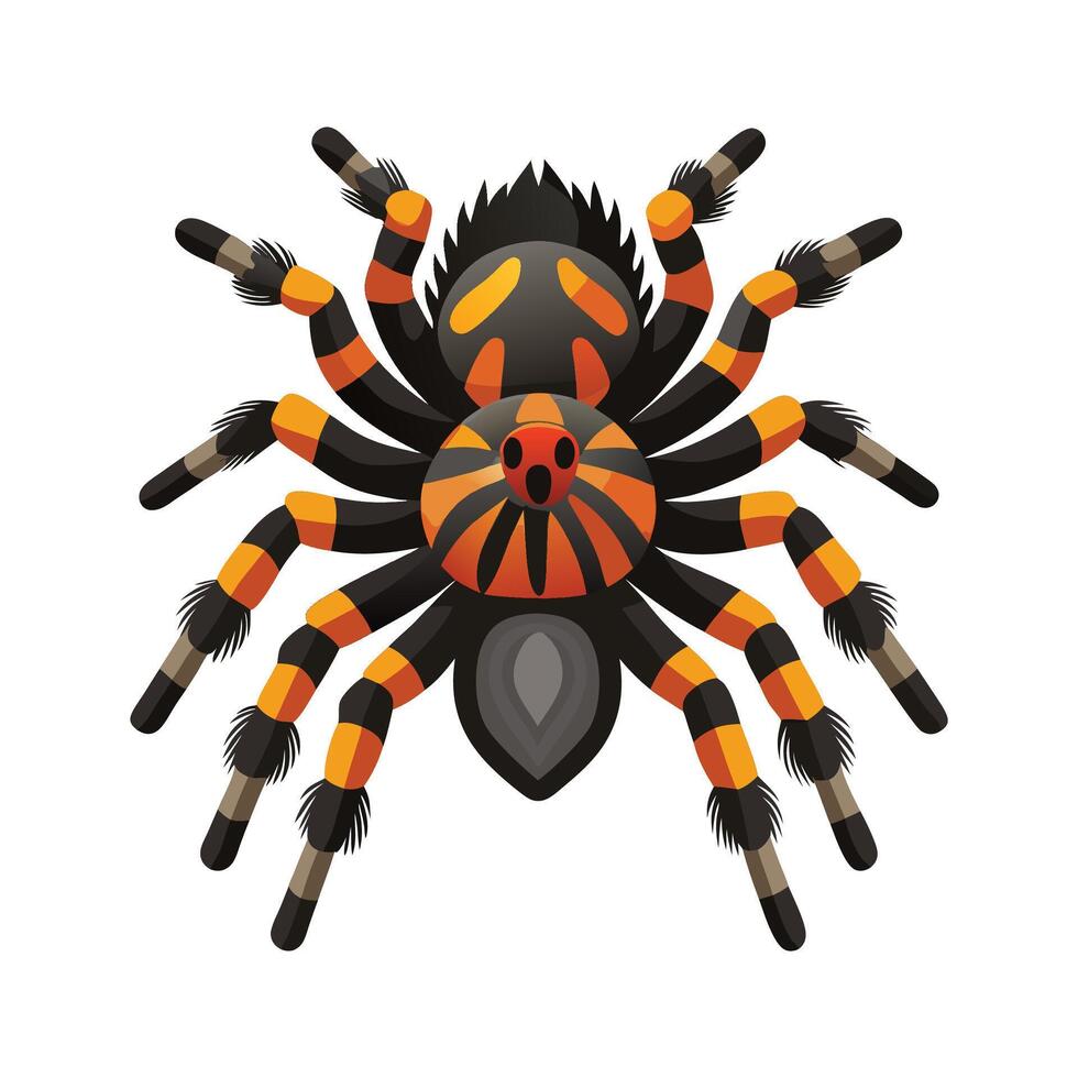 Cute Tarantula Character on a Leaf vector