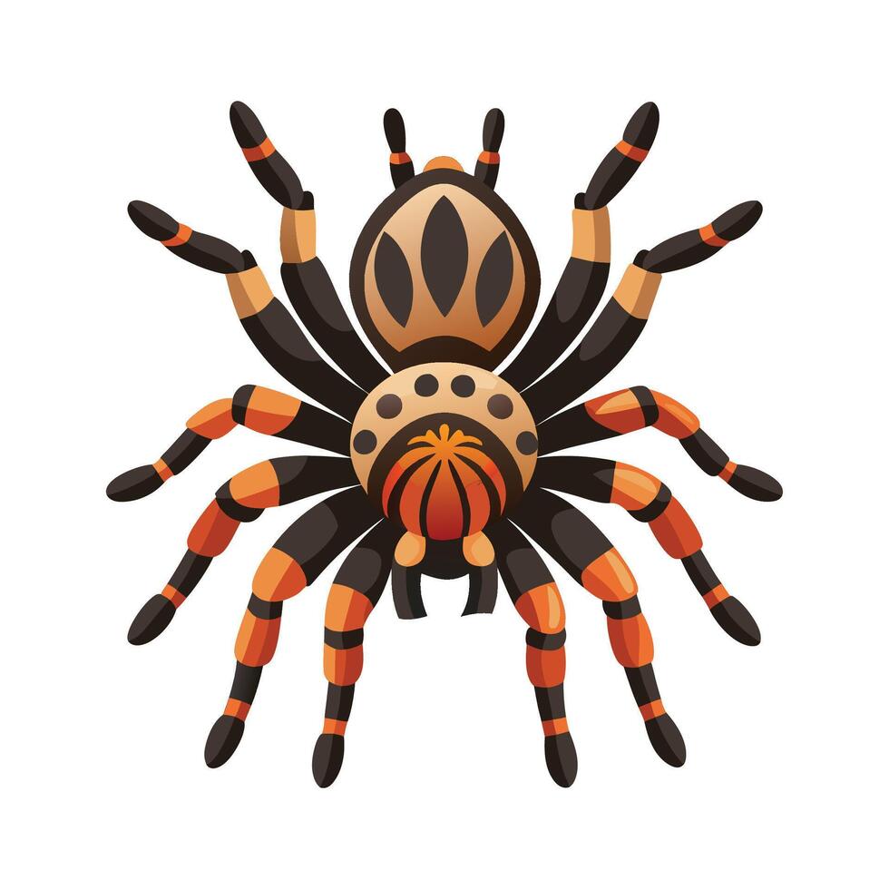 Charming Tarantula Character in Nature vector