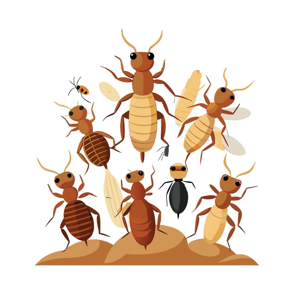 Stylized Termites for Educational Use vector
