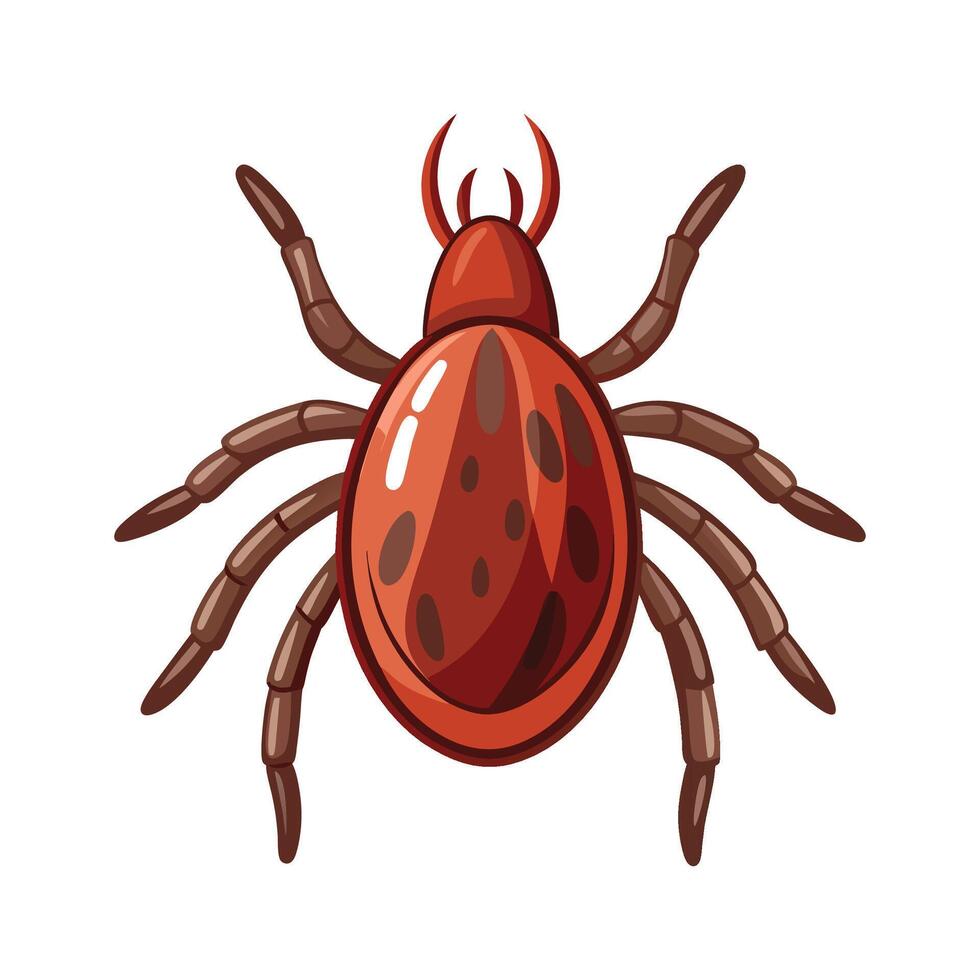 Charming Ticks for Kids vector