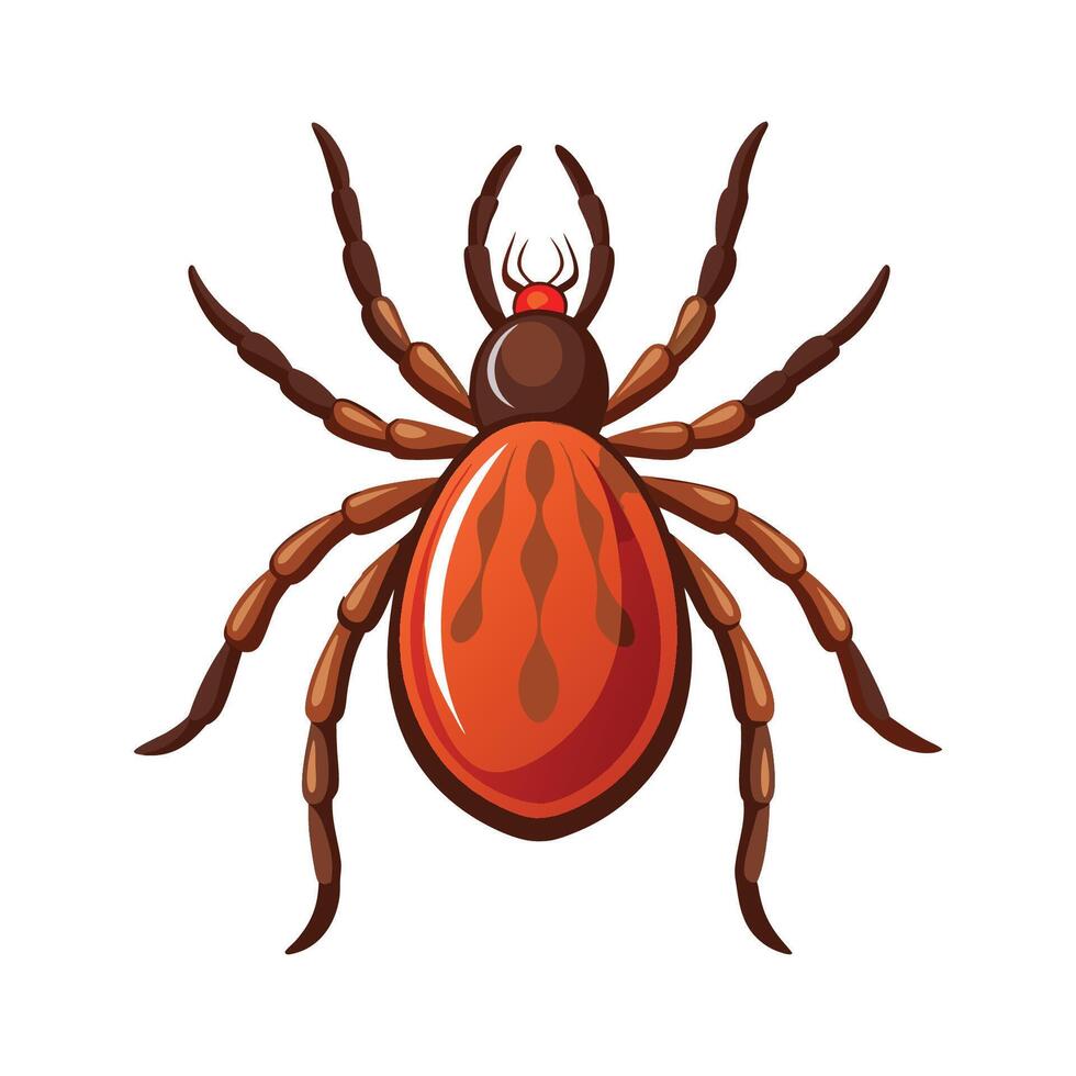 Charming Tick for Educational Use vector
