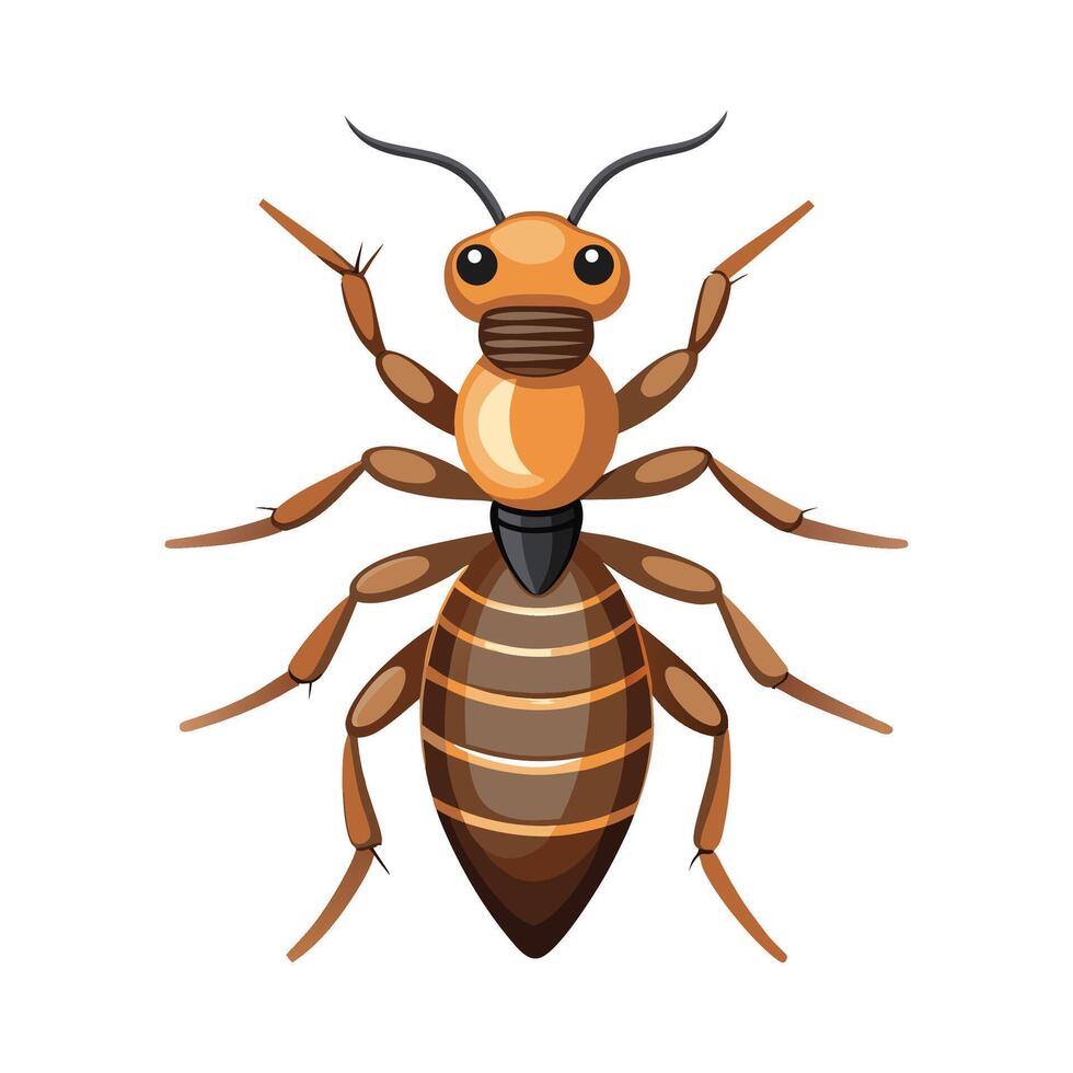 Stylized Termite Character for Educational Use vector