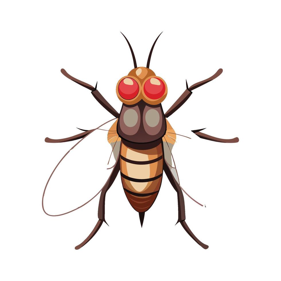 Stylized Tsetse Fly for Educational Use vector