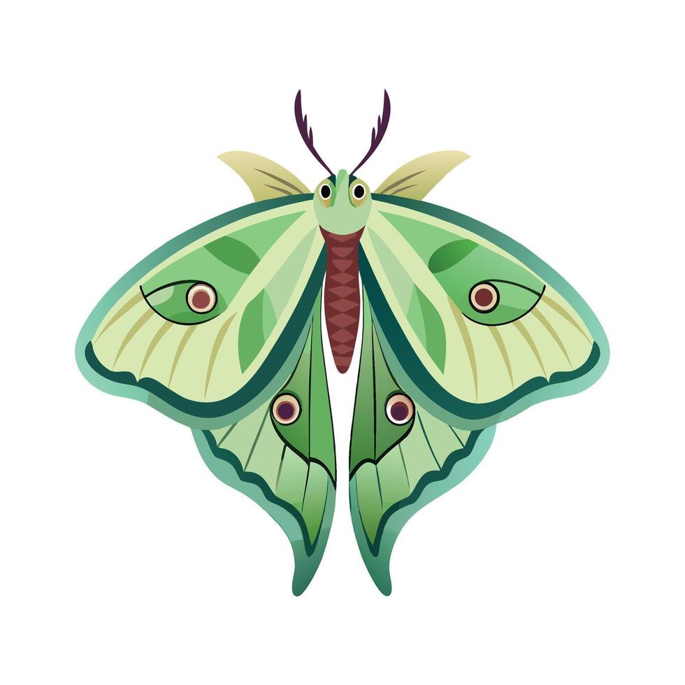 Actias Luna Beautiful Artwork vector