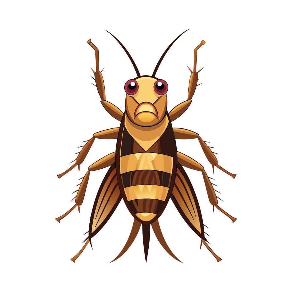 Acheta Domesticus Graphic Illustration vector