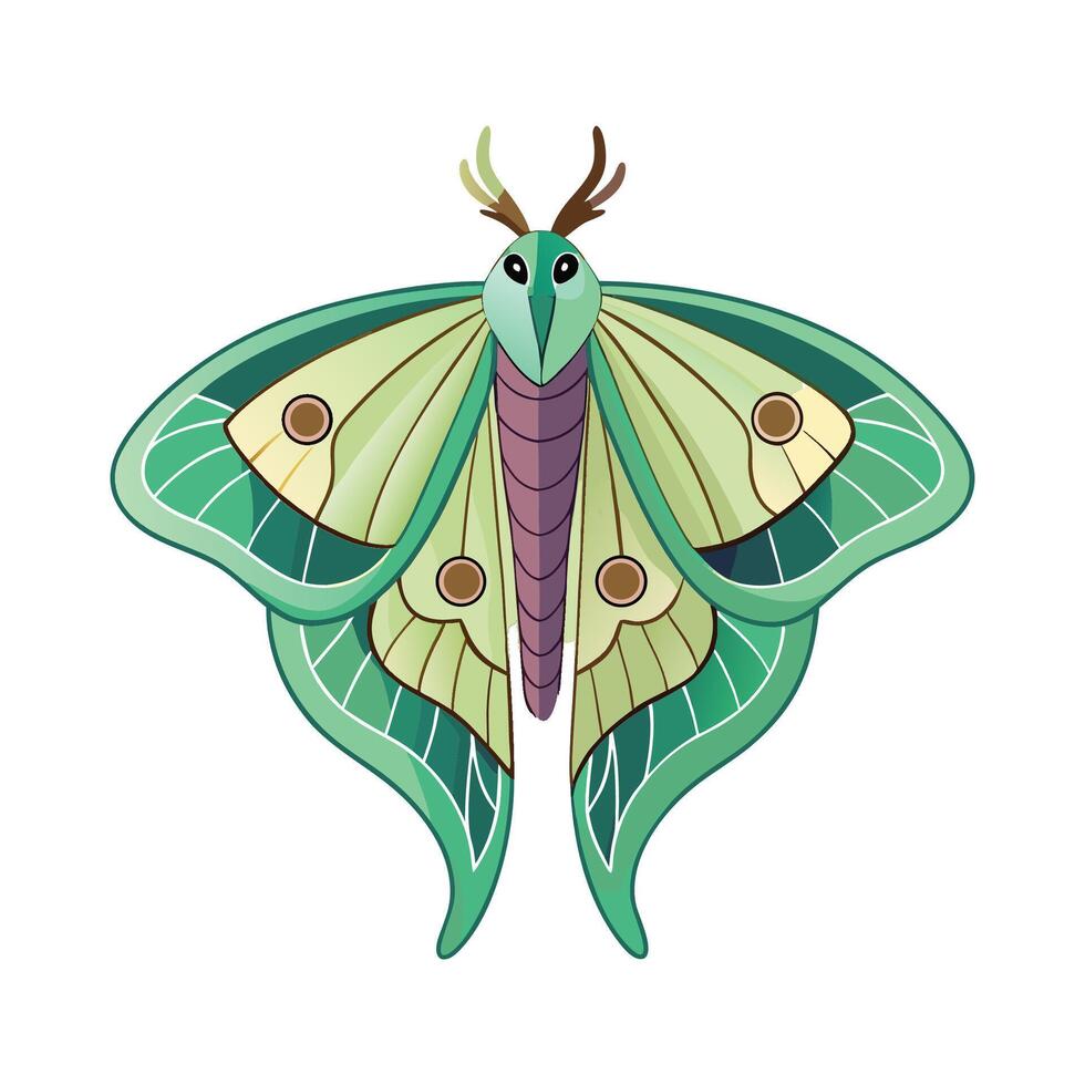 Actias Luna Elaborate Illustration vector