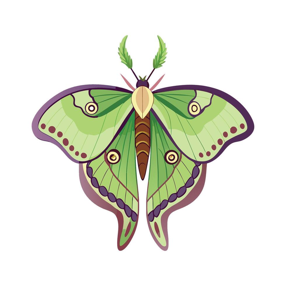 Actias Luna Unique Graphic Design vector