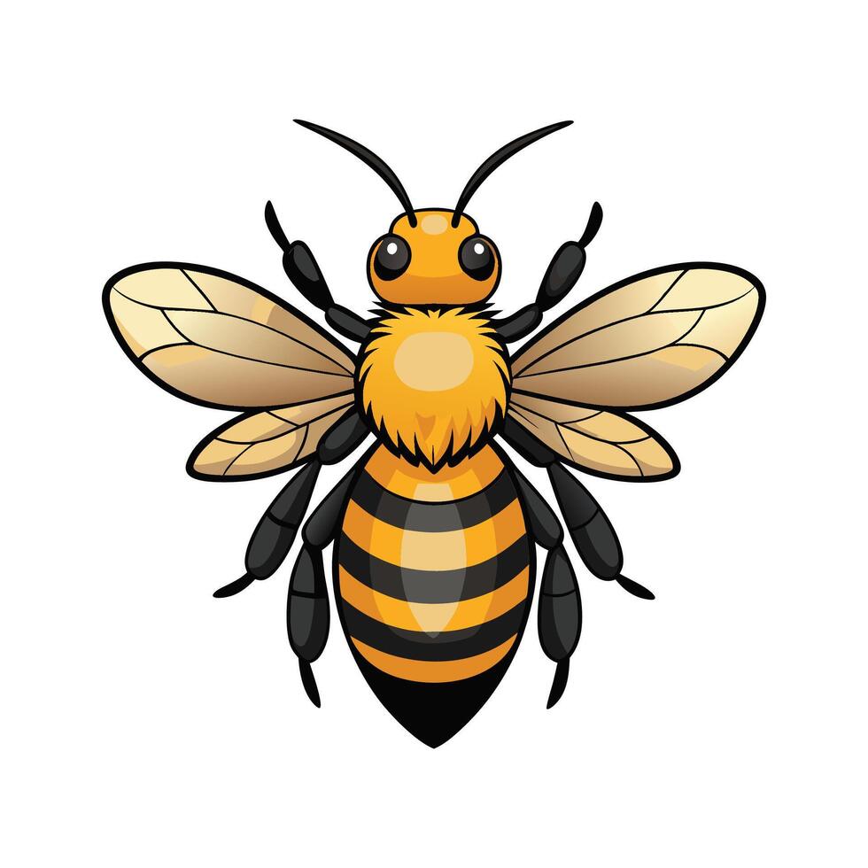 Andrena Fulva Artistic Representation vector